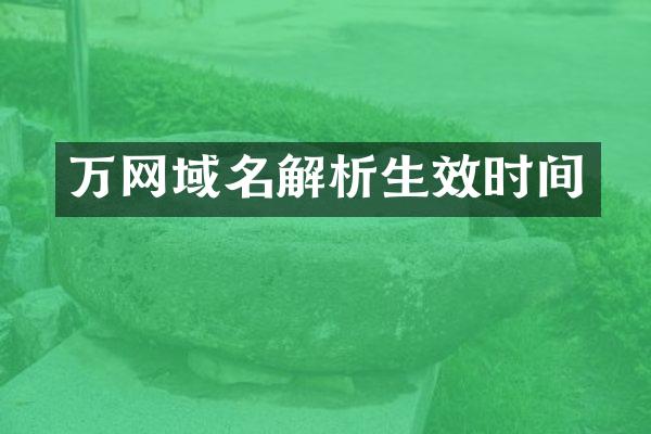 万网域名解析生效时间