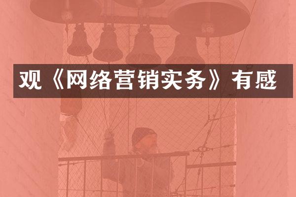 观《网络营销实务》有感