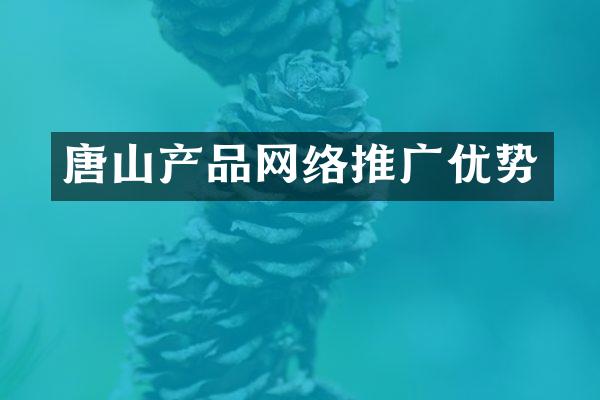 唐山产品网络推广优势