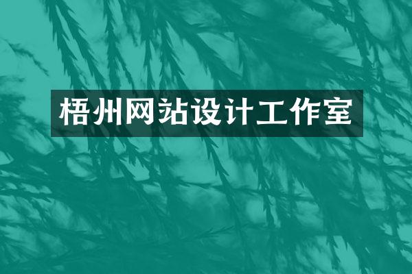 梧州网站设计工作室