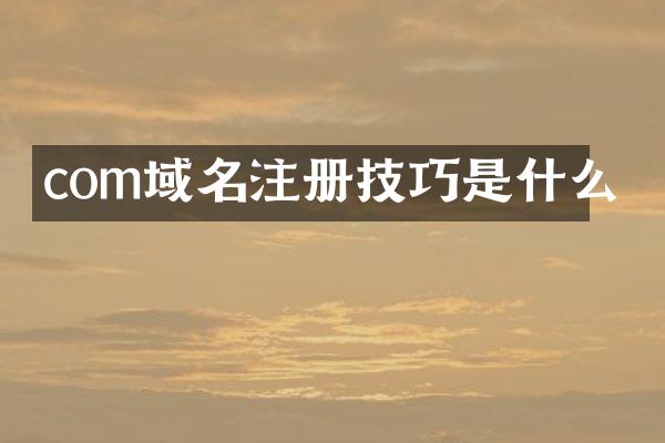 com域名注册技巧是什么