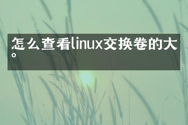 怎么查看linux交换卷的大小