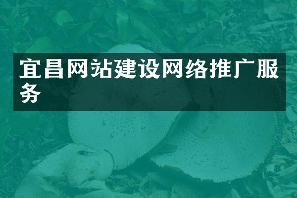 宜昌网站建设网络推广服务