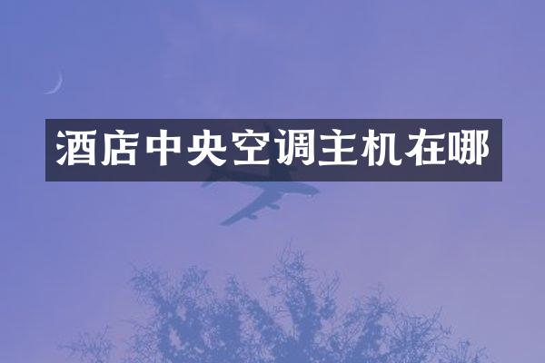 酒店中央空调主机在哪