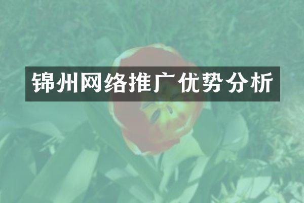 锦州网络推广优势分析