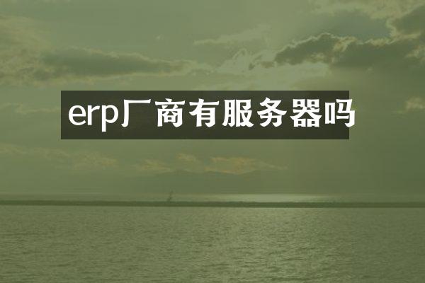 erp厂商有服务器吗