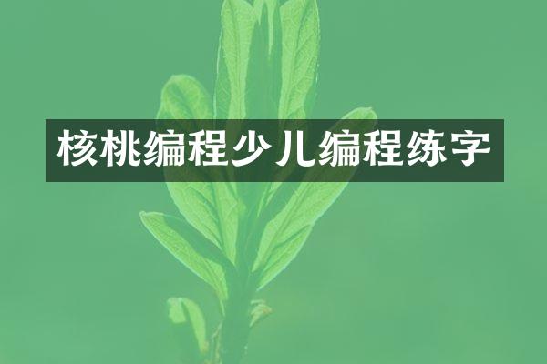 核桃编程少儿编程练字