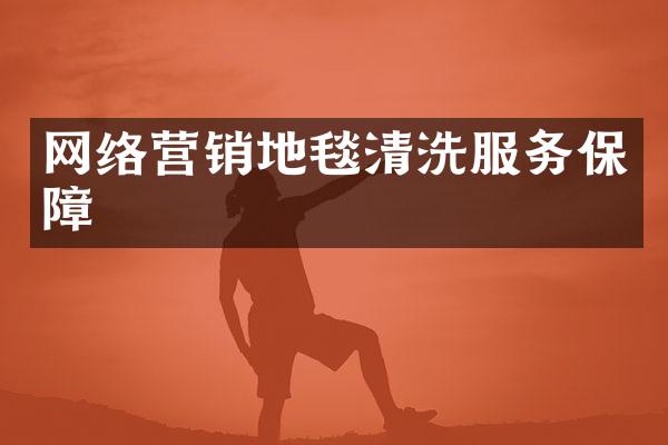网络营销地毯清洗服务保障