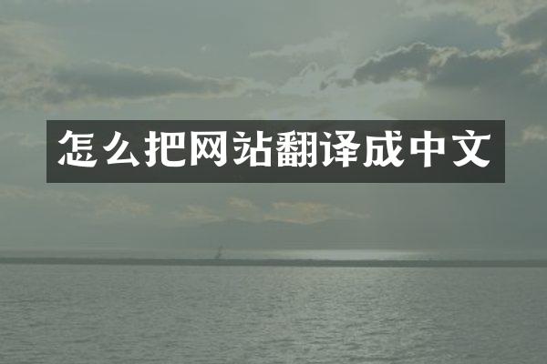 怎么把网站翻译成中文