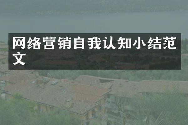 网络营销自我认知小结范文