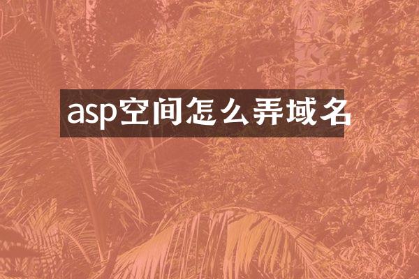 asp空间怎么弄域名