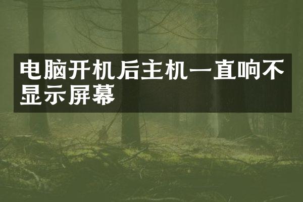 电脑开机后主机一直响不显示屏幕