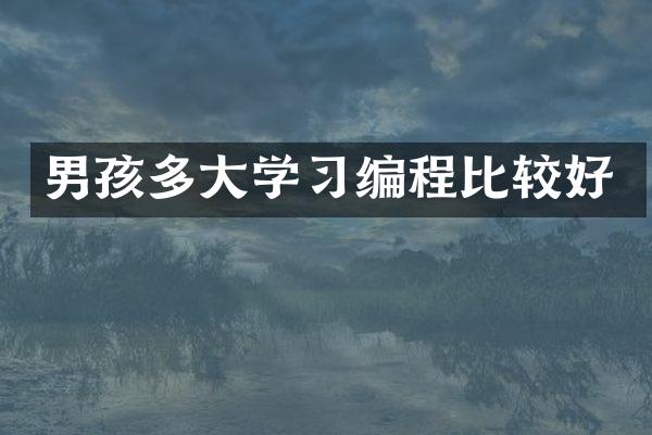 男孩多大学习编程比较好