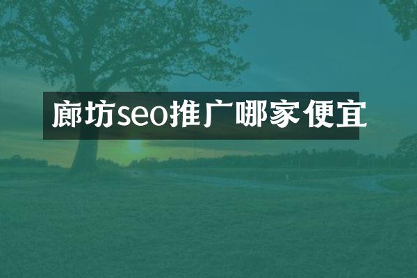 廊坊seo推广哪家便宜
