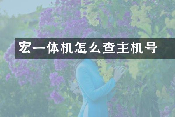 宏碁一体机怎么查主机号