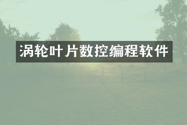 涡轮叶片数控编程软件