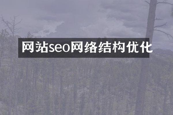 网站seo网络结构优化