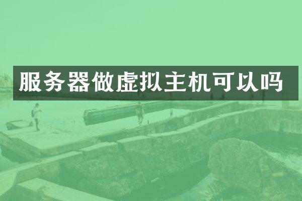 服务器做虚拟主机可以吗