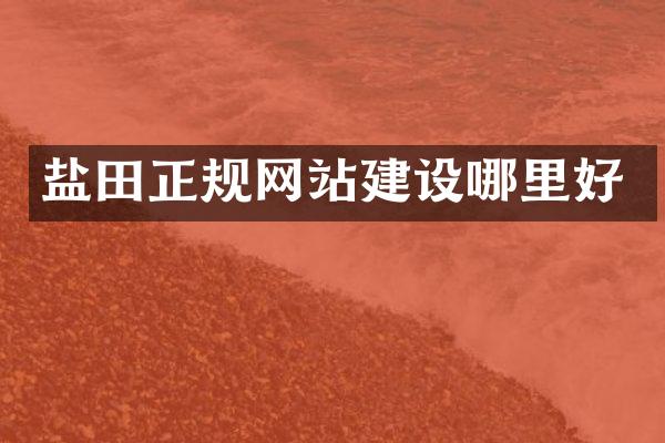 盐田正规网站建设哪里好