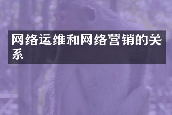 网络运维和网络营销的关系