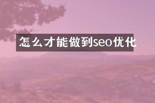 怎么才能做到seo优化