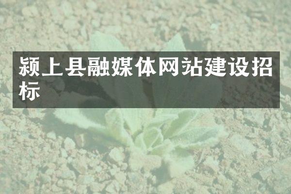 颍上县融媒体网站建设招标