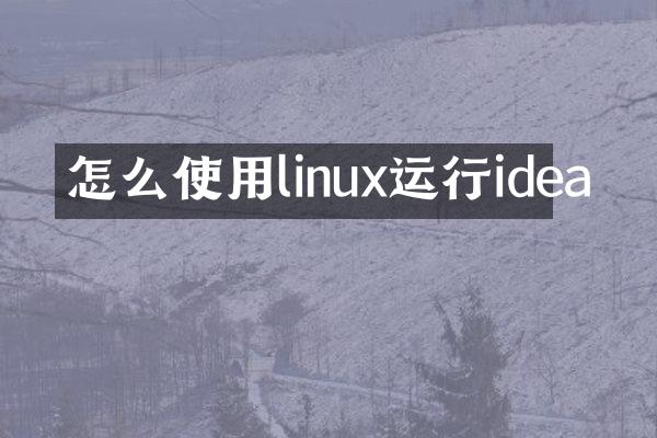 怎么使用linux运行idea