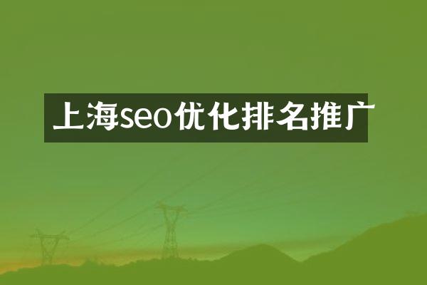 上海seo优化排名推广