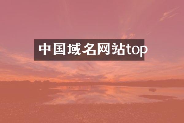 中国域名网站top