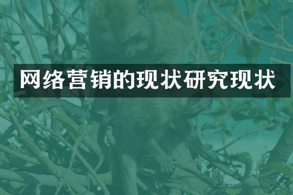 网络营销的现状研究现状