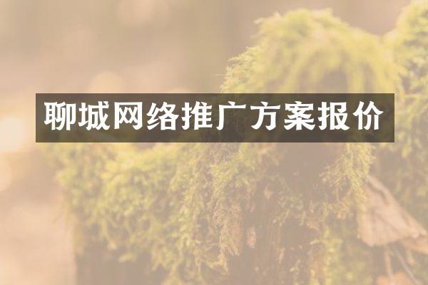 聊城网络推广方案报价