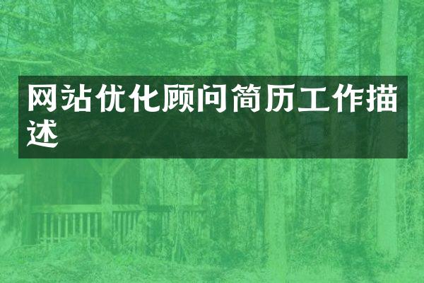 网站优化顾问简历工作描述