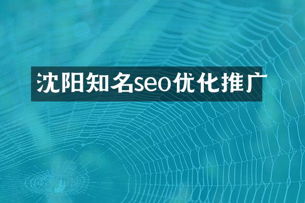 沈阳知名seo优化推广