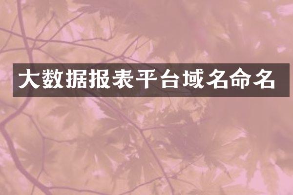 大数据报表平台域名命名