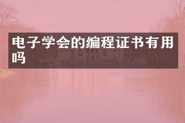 电子学会的编程证书有用吗