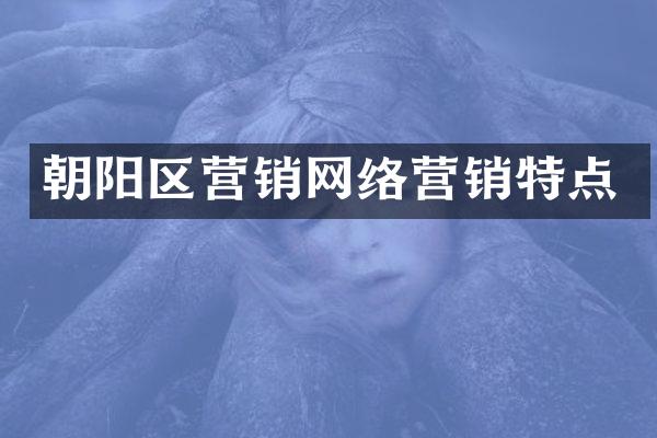 朝阳区营销网络营销特点