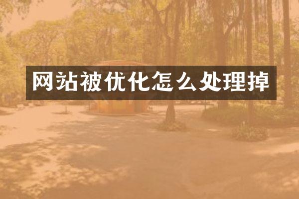 网站被优化怎么处理掉