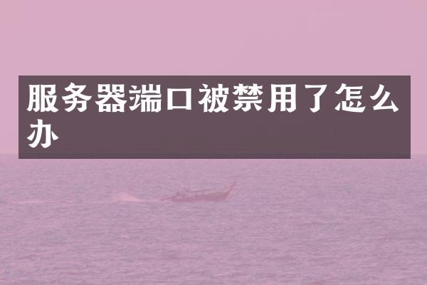 服务器端口被禁用了怎么办