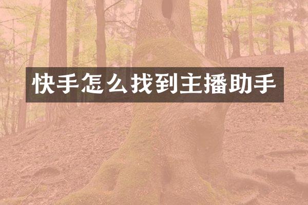 快手怎么找到主播助手