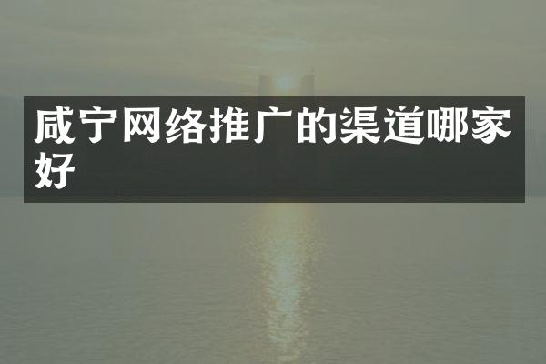 咸宁网络推广的渠道哪家好