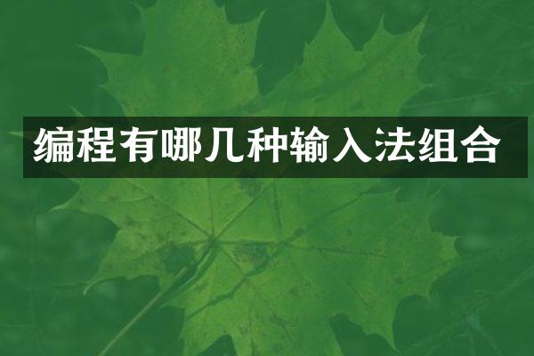 编程有哪几种输入法组合