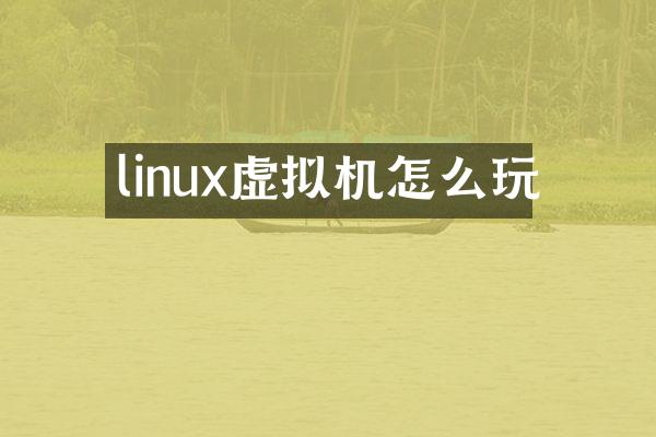 linux虚拟机怎么玩