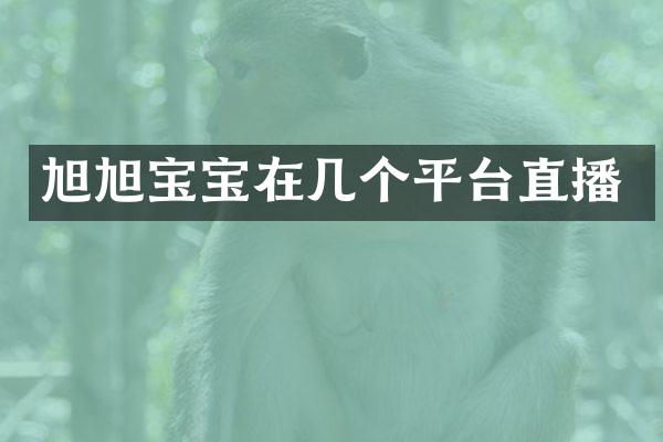 旭旭宝宝在几个平台直播