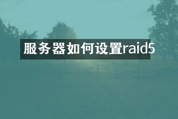 服务器如何设置raid5