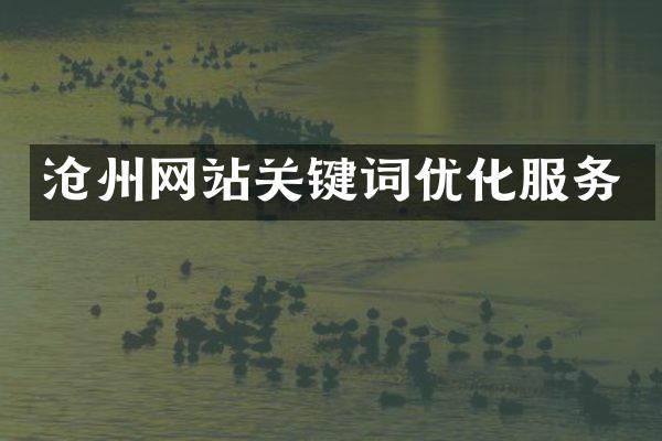 沧州网站关键词优化服务