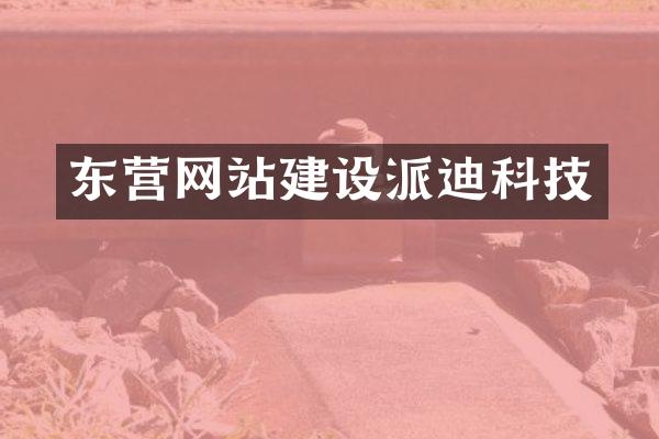 东营网站建设派迪科技
