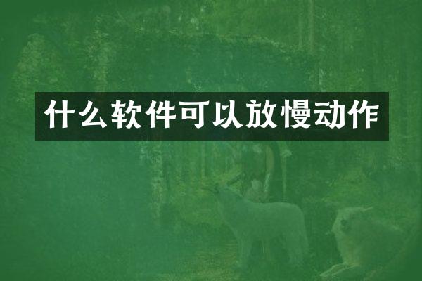 什么软件可以放慢动作