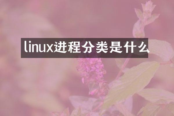 linux进程分类是什么