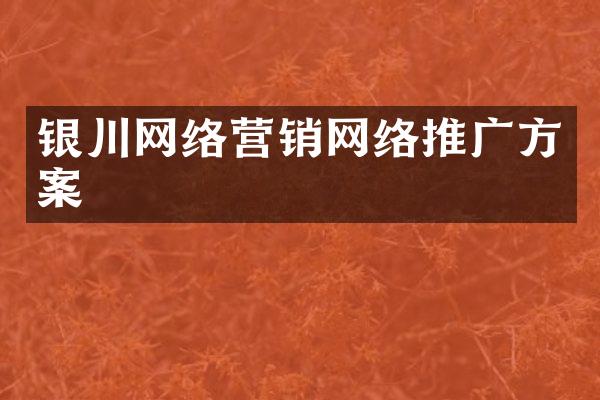 银川网络营销网络推广方案