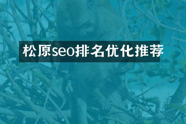 松原seo排名优化推荐